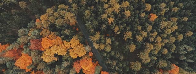 O6jVdZVWP1